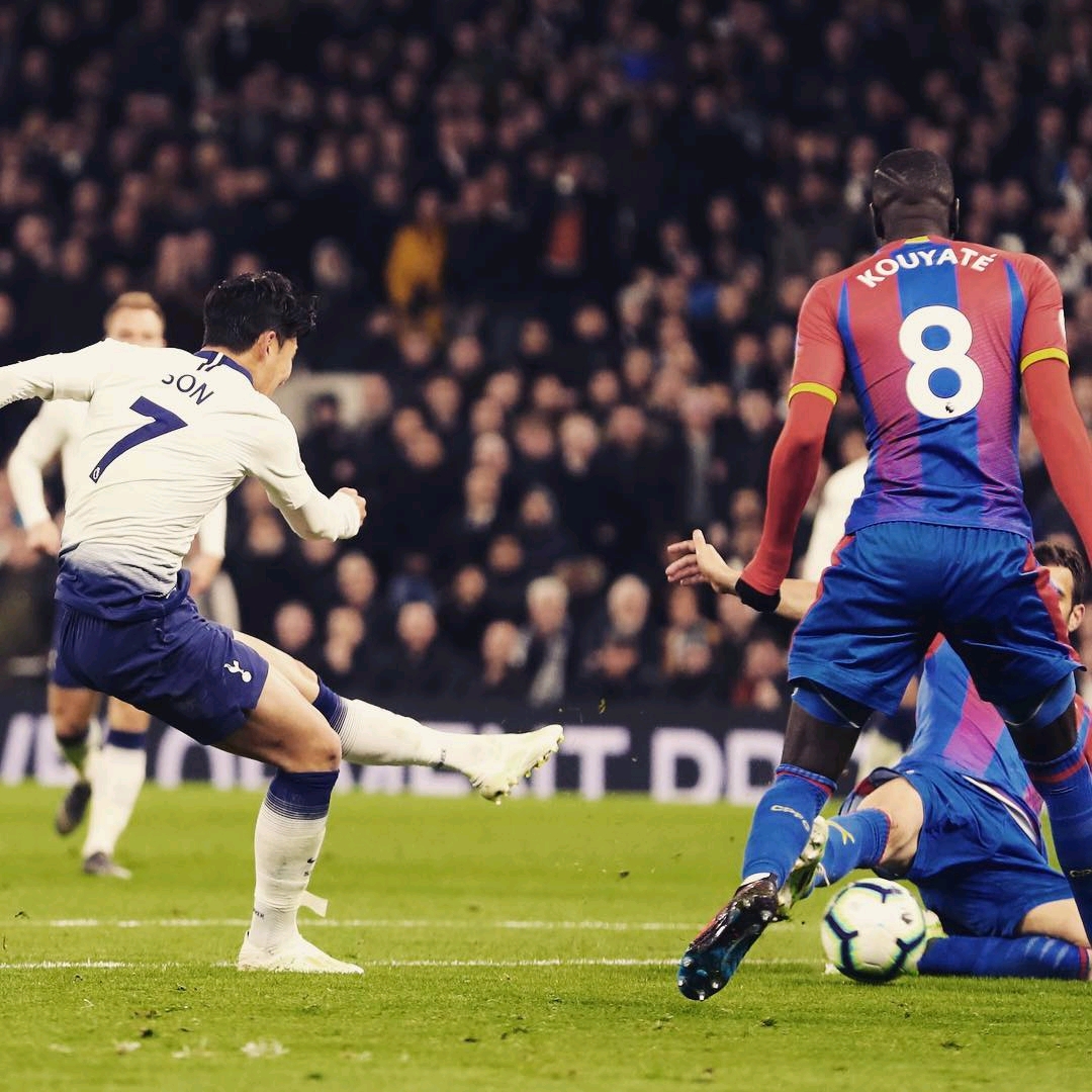 马的季前赛 马的季前赛